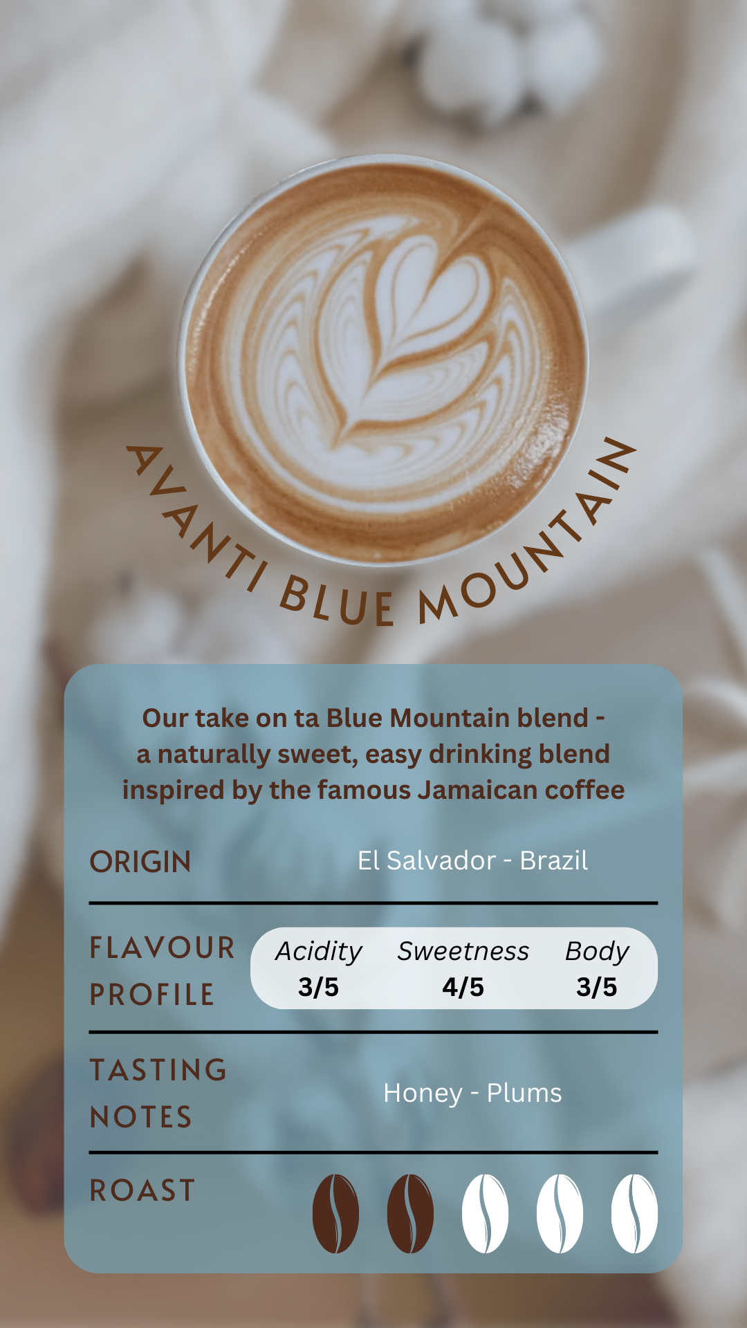 Avanti Blue Mountain