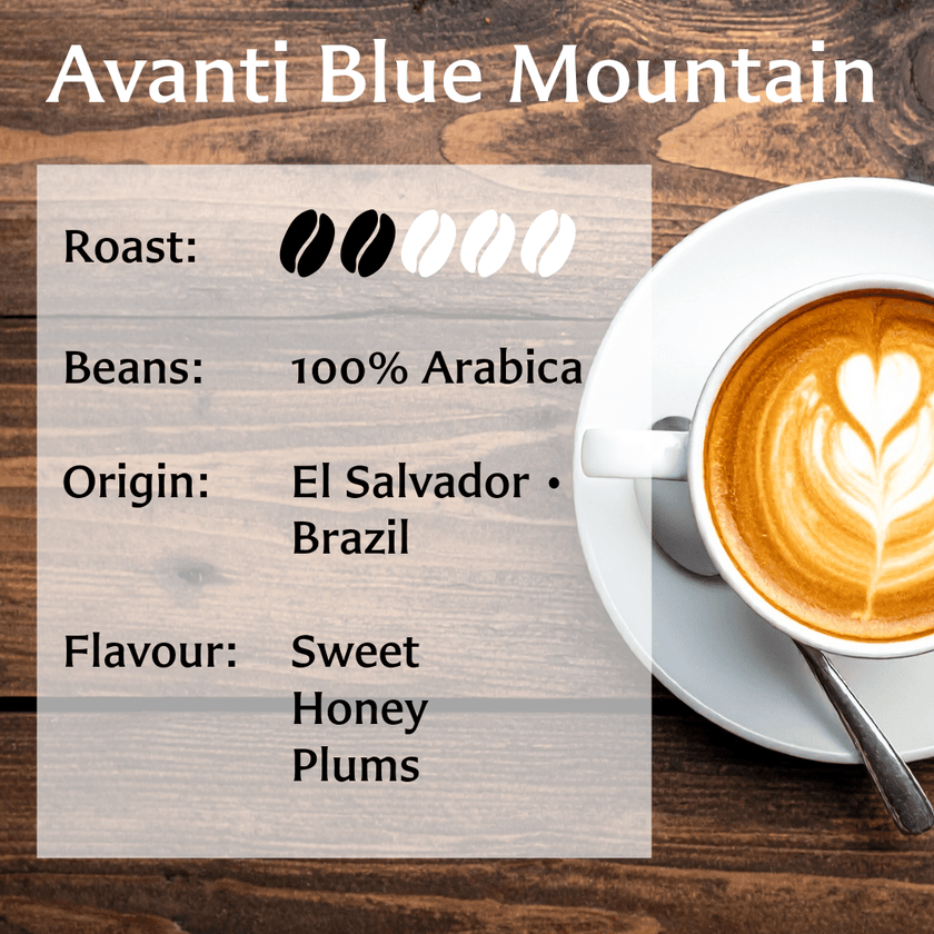 Avanti Blue Mountain
