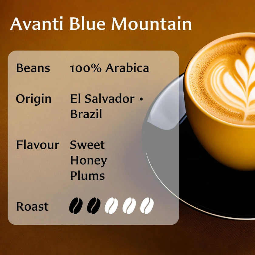 Avanti Blue Mountain