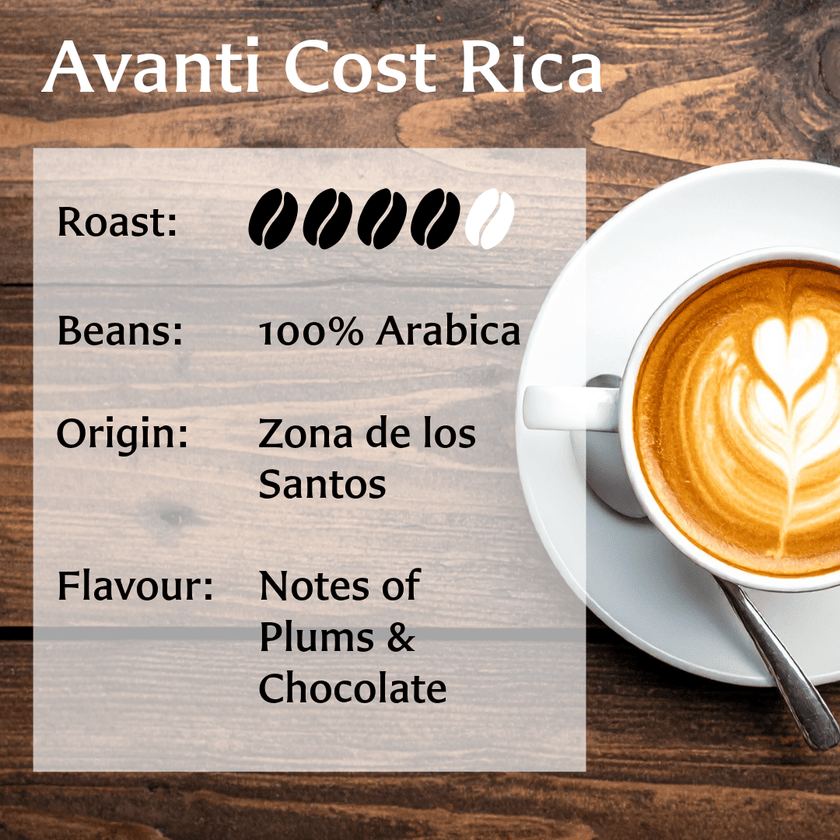 Avanti Cost Rica
